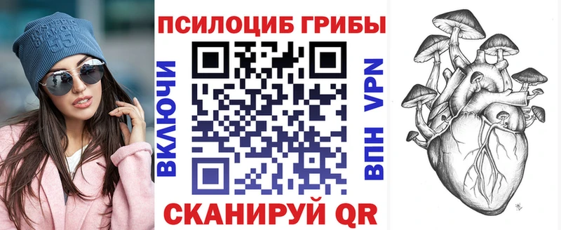 хочу Ершов Галлюциногенные грибы Psilocybine cubensis